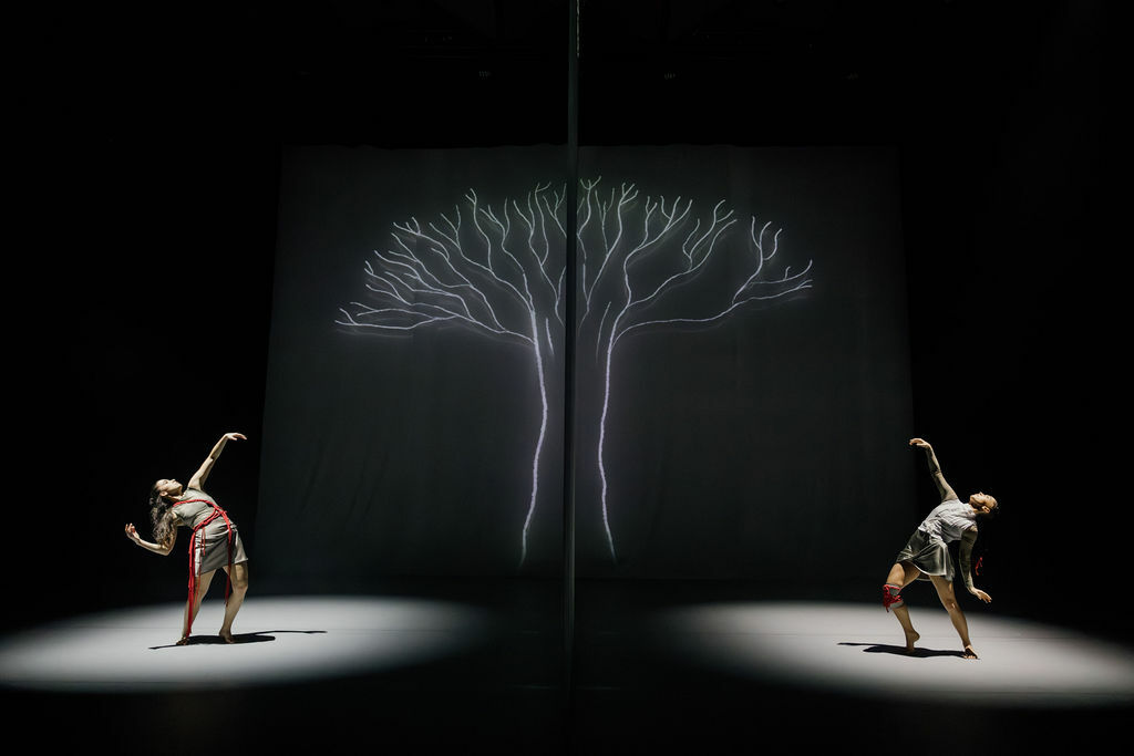 ACP 4391 Enhanced NR copy