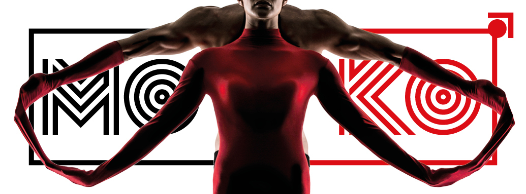 Moko facebook banner